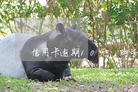 信用卡逾期10元 购房贷款 信用卡逾期10元 购房贷款